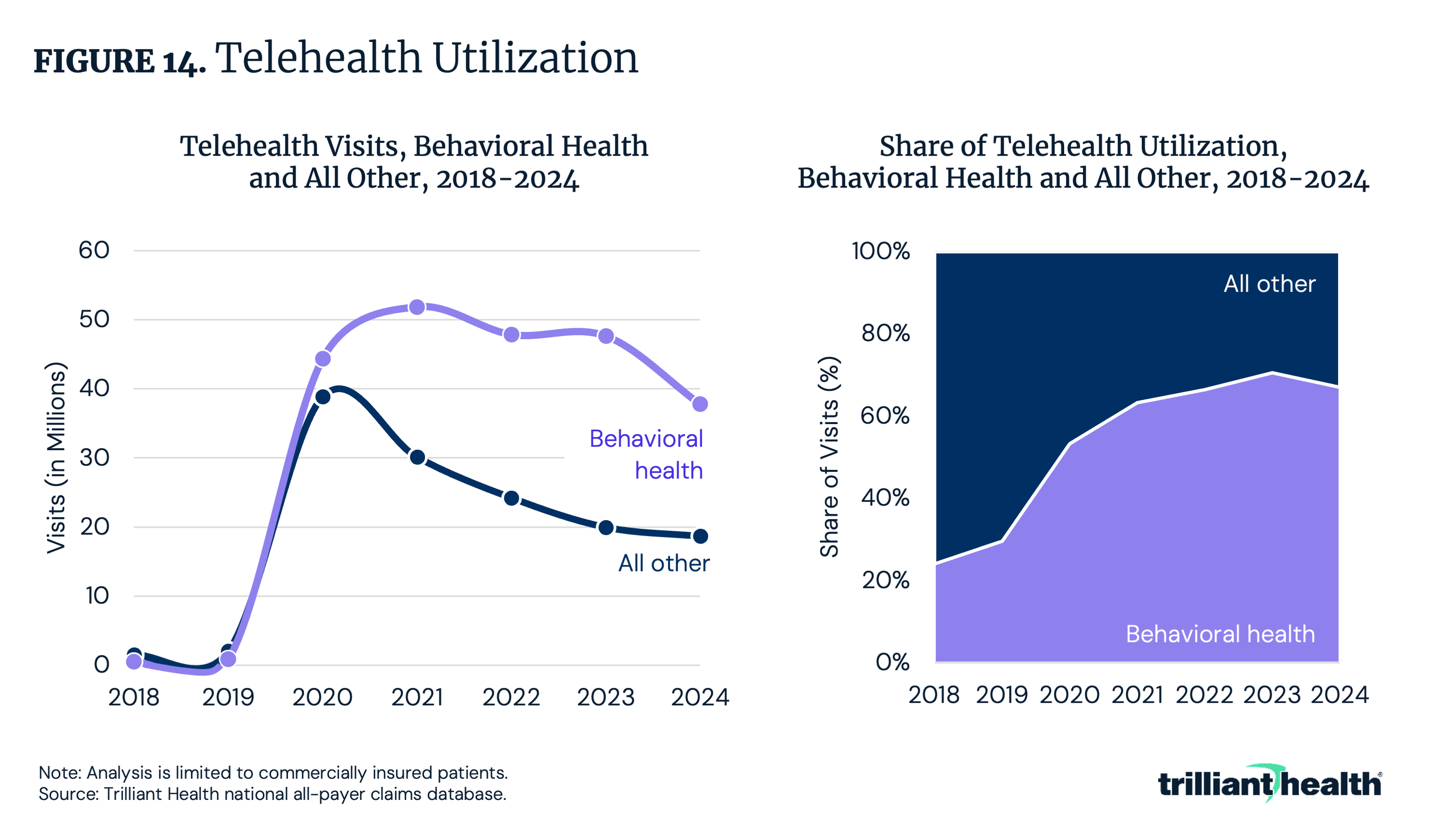 Telehealth Utilization