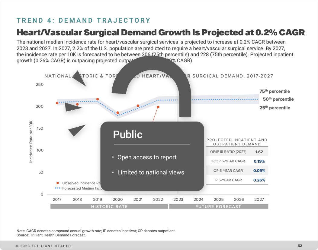 Example of Public Report